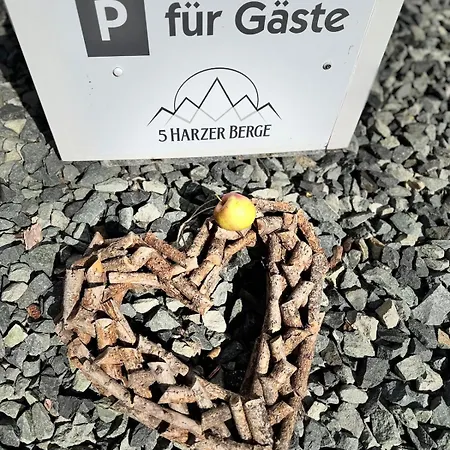 Fuenf Harzer Berge Sonnenberg شقة سانكت اندرياسبرغ
