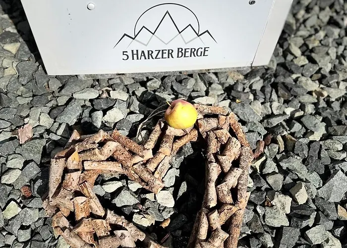 Fuenf Harzer Berge Sonnenberg Daire Sankt Andreasberg